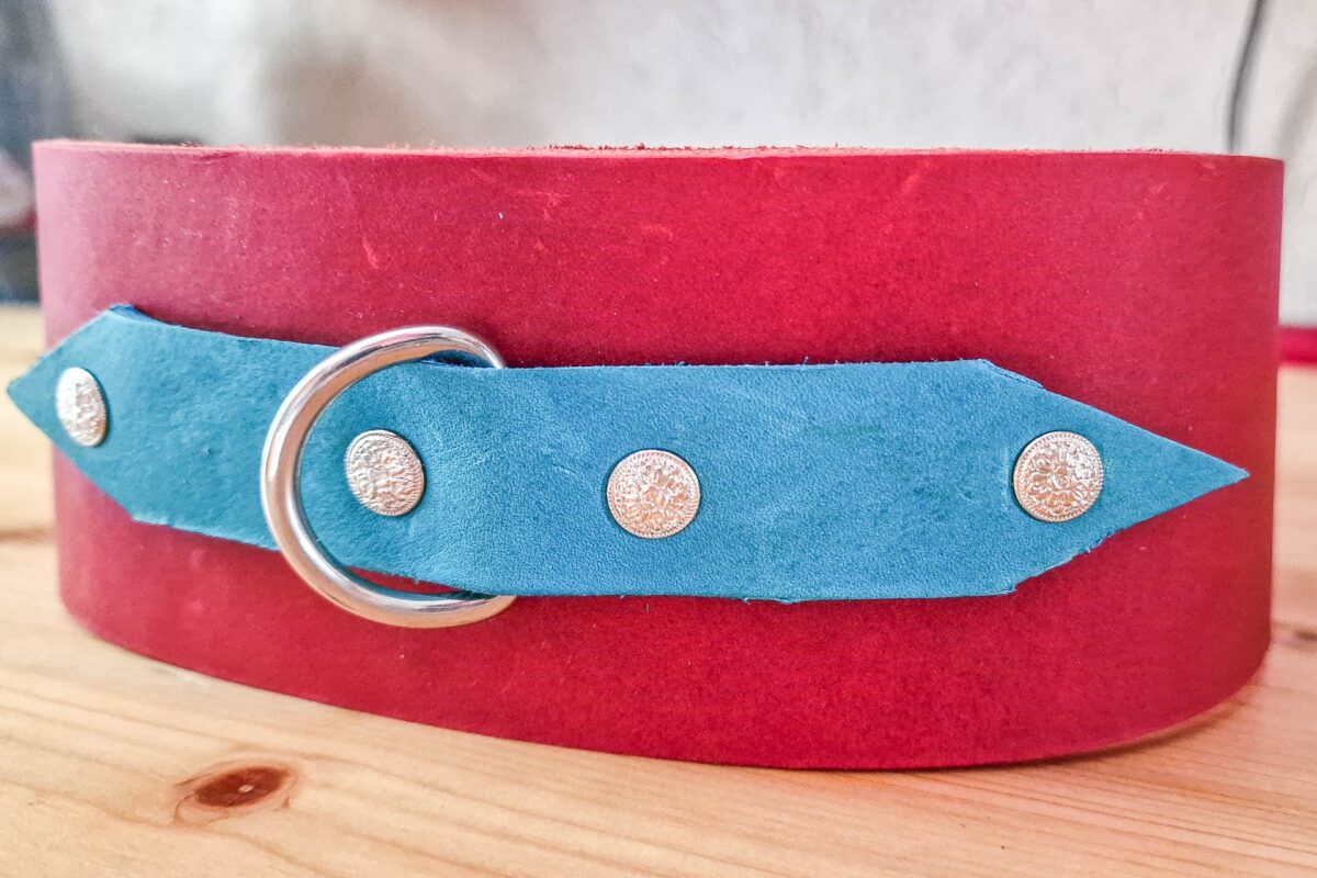 Collier en cuir graissé, accessoire pour grands chiens