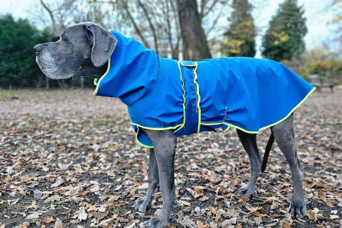 Manteau en softshell bleu, bordure jaune par Marie W, Dog XL Fashion