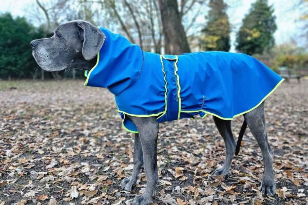 Manteau en softshell bleu, bordure jaune par Marie W, Dog XL Fashion