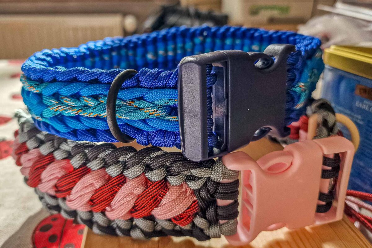 Colliers en paracorde, accessoire pour grands chiens