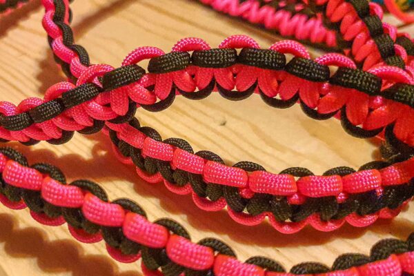 Laisse en paracorde, accessoire pour grands chiens