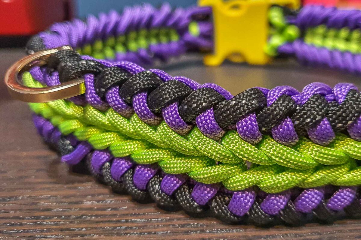 Collier en paracorde, l'attache, accessoire pour grands chiens