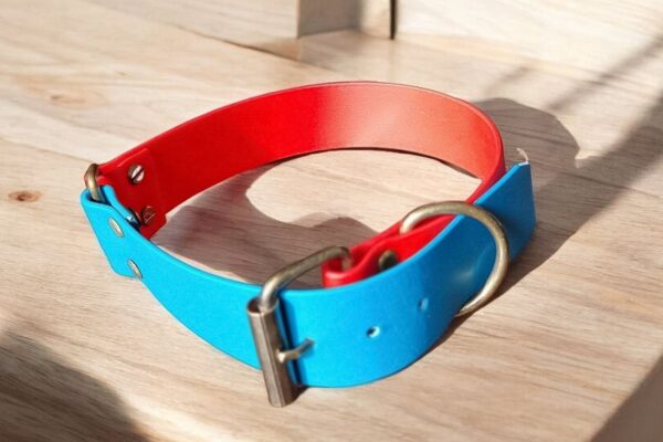 Collier en biothane bicolore