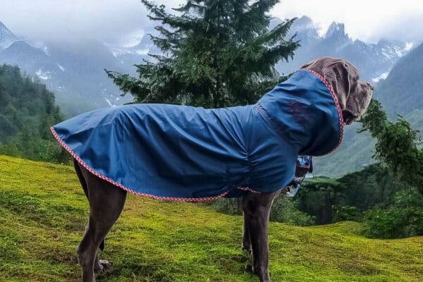 Imperméable léger, Dog XL Fashion