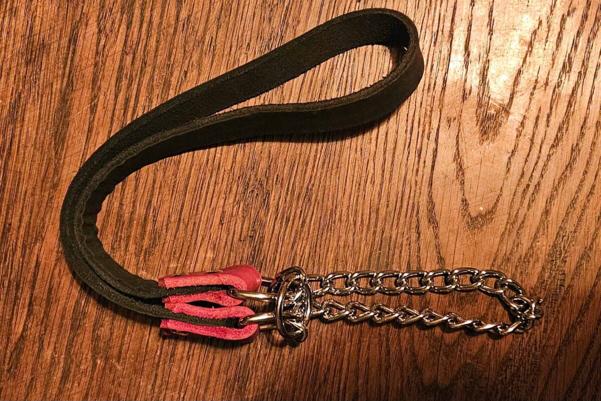 Collier d'éducation avec chaînette – Image 2