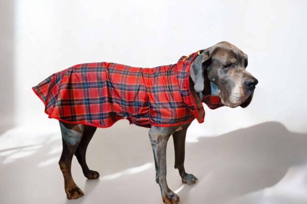 Imperméable 4 saisons