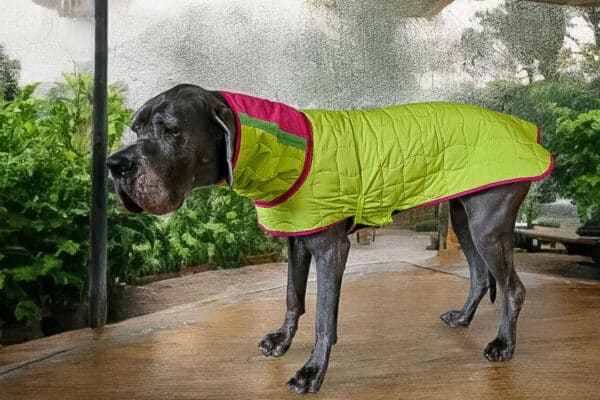 Doudounes réversibles