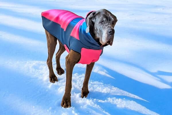 Manteau en Néoprène