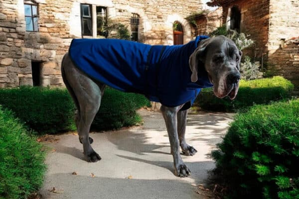 Manteau en softshell