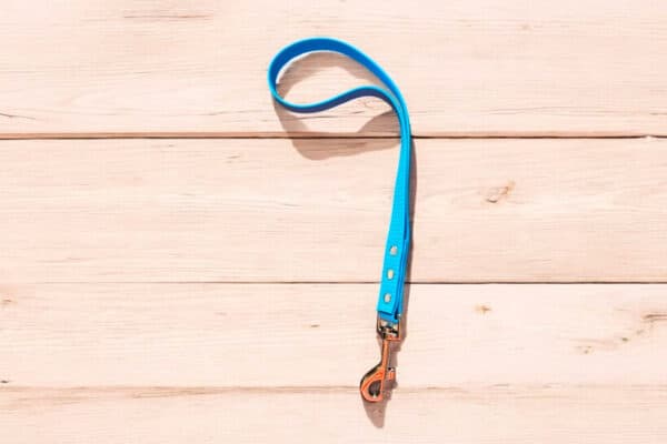 Laisse boucle en biothane bleu turquoise