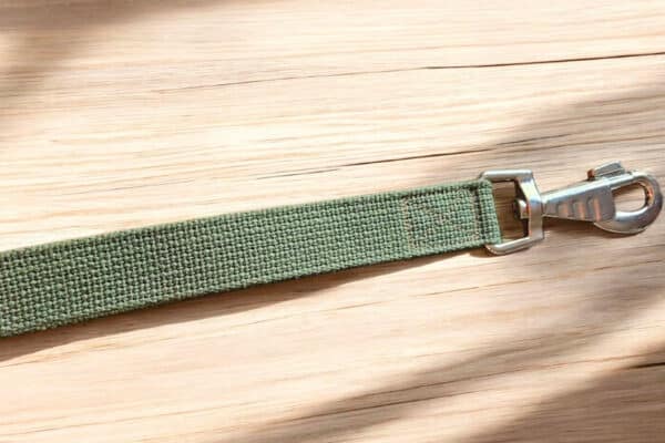 Laisse boucle en sangle kaki